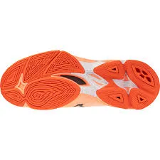 V1GA2665-80 3
