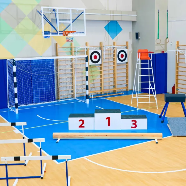 Щит для метания навесной на шведскую стенку (фанера) 700х700 ZAVODSPORTA за 8&nbsp;960 ₽ в Кирове